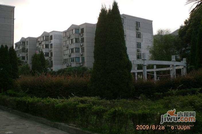 民悦苑实景图图片