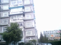 海江公寓实景图图片