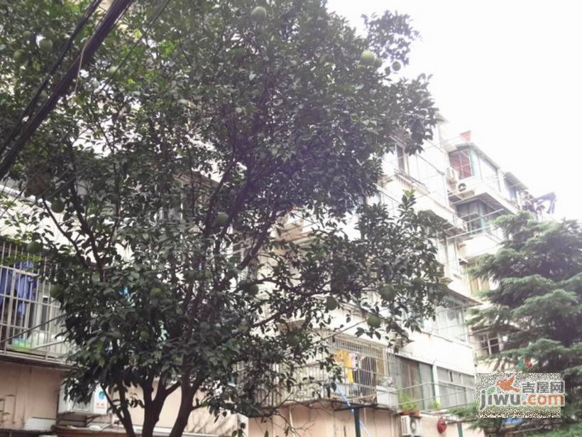 宁康小区实景图图片