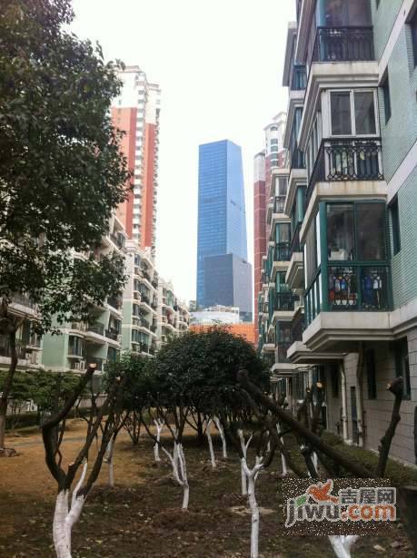 虹德苑实景图图片