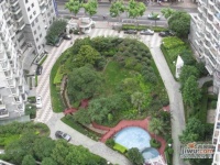 东方金门花园实景图图片