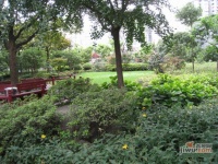 东方金门花园实景图图片