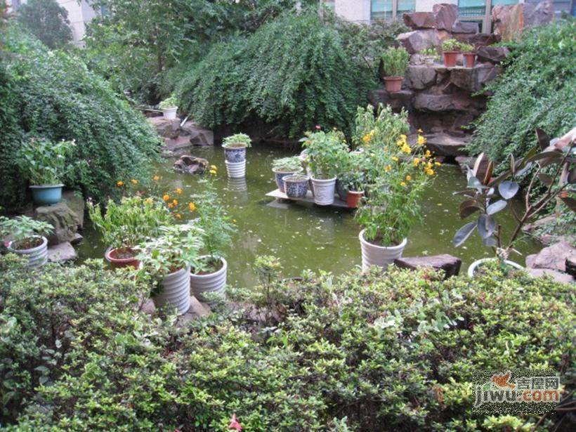 颐德名苑实景图图片