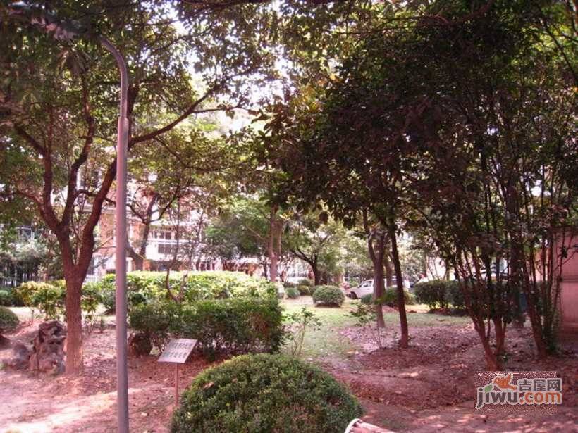 新华名门实景图图片