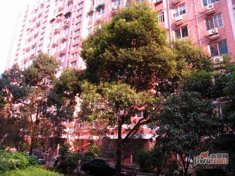 新安公寓实景图图片