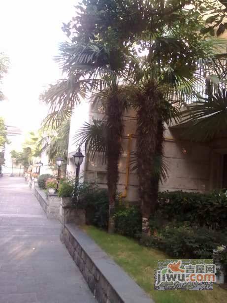 汤臣怡园实景图图片