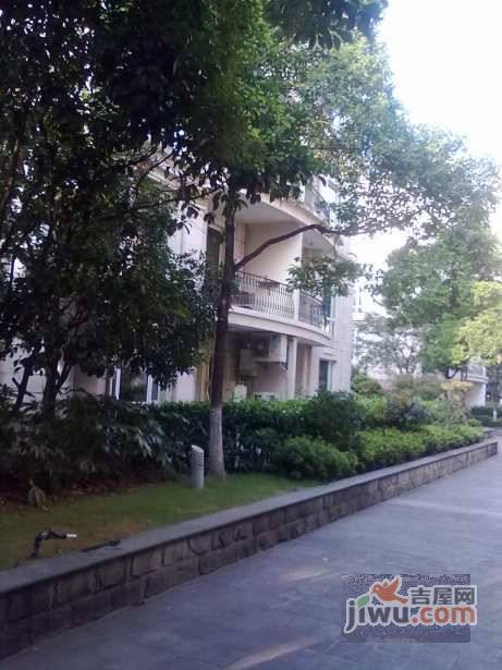 汤臣怡园实景图图片