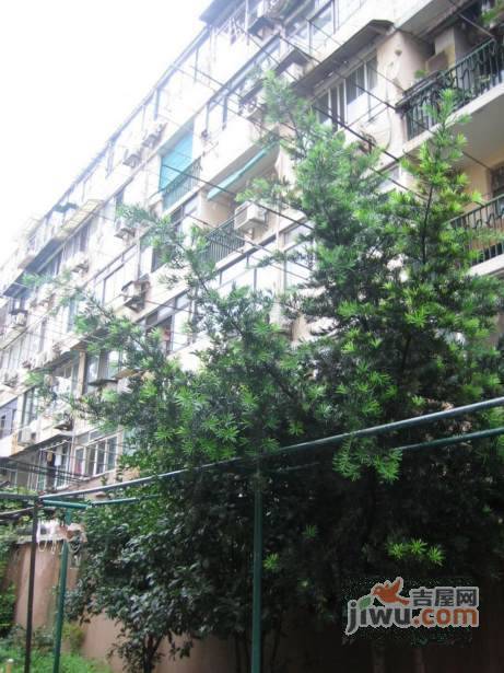 杨宅小区实景图图片