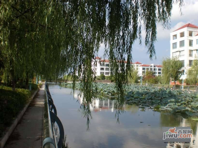 丽水湾实景图图片