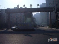 阳光春城实景图图片