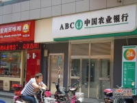 金都雅苑实景图4