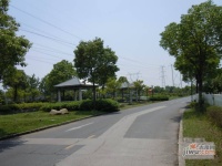 金都雅苑实景图4
