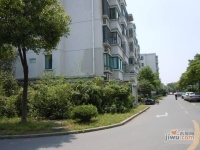 金都雅苑实景图4
