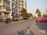 金都雅苑实景图4