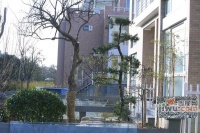 金都雅苑实景图4