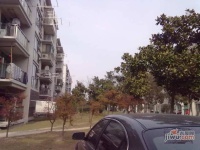 金都雅苑实景图4