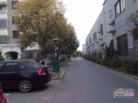 金都雅苑实景图4