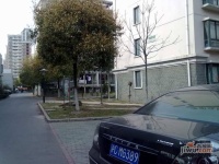金都雅苑实景图4