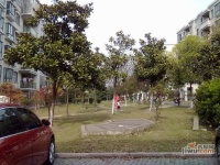 金都雅苑实景图4