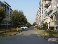 金都雅苑实景图4