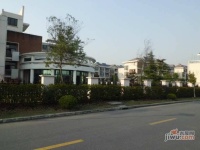 金都雅苑实景图4