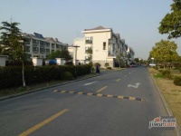 金都雅苑实景图4