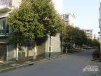 金都雅苑实景图4