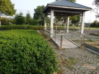 金都雅苑实景图4