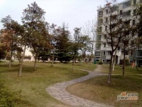 金都雅苑实景图4