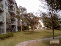 金都雅苑实景图4