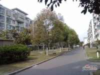 金都雅苑实景图4
