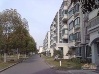 金都雅苑实景图4