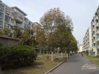 金都雅苑实景图4