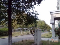 金都雅苑实景图4