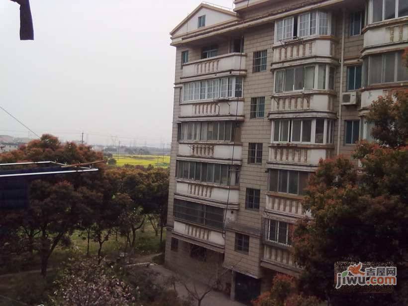 浦江花园实景图图片