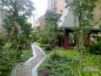 上海滩花园实景图7