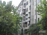 嘉定金华新村实景图20