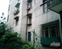 嘉定金华新村实景图20