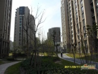 绿地新江桥城实景图图片
