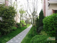 莱茵北郡实景图29