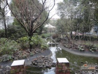 怡乐花园实景图图片