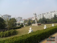 飞虹南村实景图图片