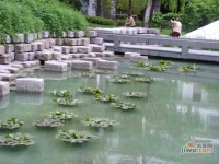 翠湖天地雅苑实景图图片