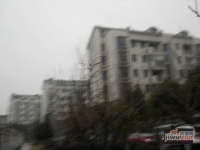 佰田大富苑实景图11