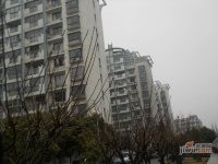 佰田大富苑实景图11