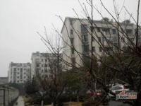 佰田大富苑实景图11