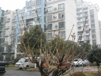 佰田大富苑实景图11