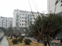 佰田大富苑实景图11