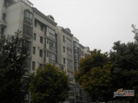 佰田大富苑实景图11