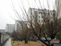 佰田大富苑实景图11